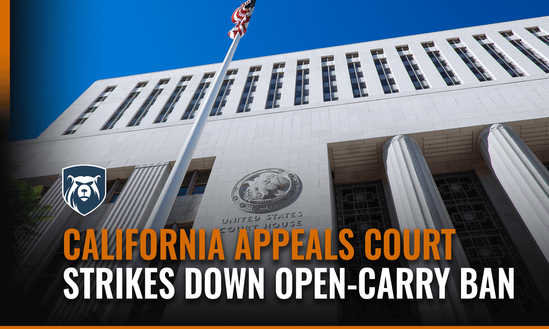 Second amendment court cases