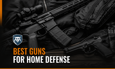 Home defense guns